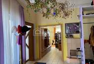 Viel Raum im Paradies