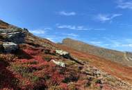 Seltene Gelegenheit Skihütte am Katschberg