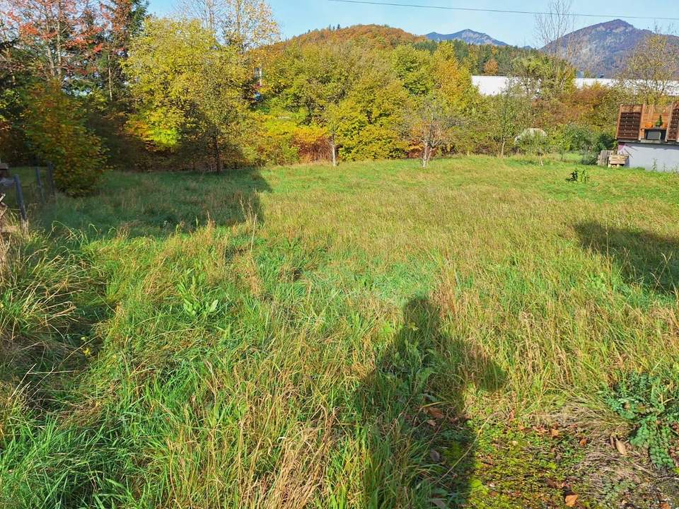 Baugrundstück in Bad Ischl – Naturidylle trifft Top-Anbindung (Privatverkauf, keine Maklergebühr!)