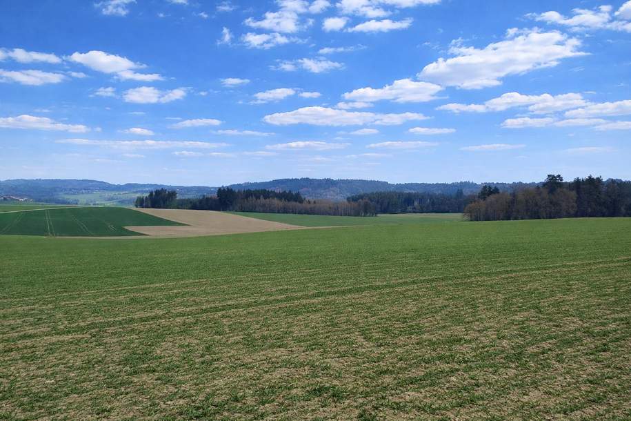 Liegenschaft mit ca. 20 ha landwirtschaftliche Nutzflächen, Gewerbeobjekt-kauf, 4762 Schärding