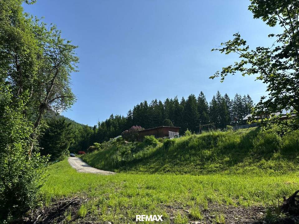 ***Baugrundstück in idyllischer Lage mit Bachlauf (134/5) – Ihr Traumhaus wartet auf Sie!***