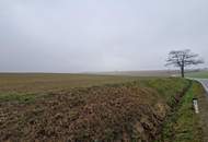 TOLLE ACKERFLÄCHE IN SÜDSEITIGER AUSRICHTUNG MIT GUTER BONITÄT IN GROßMUGL