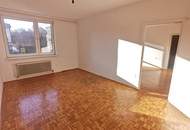 "Grün. Hell. Loggia. Was will man mehr!"