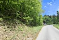 Großes Waldgrundstück bei Kirchberg an der Pielach