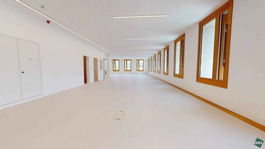 ROBIN Seestadt - Innovative Büroflächen in Wiens modernstem Stadtquartier