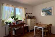 Hohe Wand - Einfamilienhaus mit 3 Wohneinheiten auf 1.100 m² Grund!