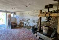 Haus mit 2 getrennten Wohneinheiten und Kellerstöckl mit Wiesen und Äcker