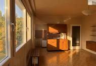 1 Zimmer Wohnung am Doblhofpark