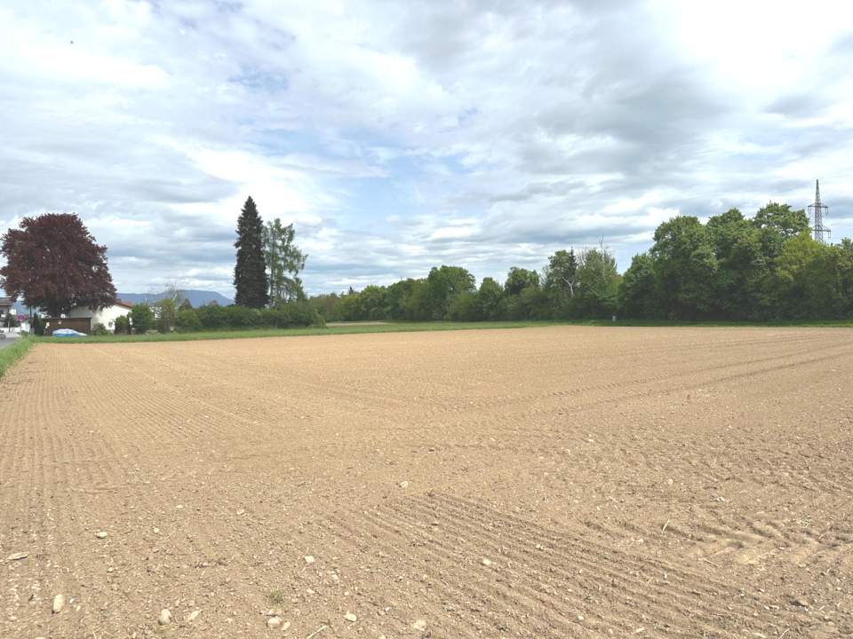 Gewerbegrundstück für Betriebsansiedelung