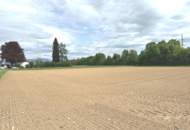 Gewerbegrundstück für Betriebsansiedelung