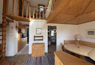 Ferienhaus Juwel mit Seezugang Seepark Weiden