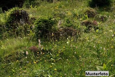 +++ Bauland und Land-/Forstwirtschaftsflächen +++, Grund und Boden-kauf, 140.000,€, 8621 Bruck-Mürzzuschlag
