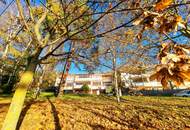 Ruheoase im Grünen! Sonnig. Saniert. Einfach super! Erstbezug mit Wohlfühlfaktor! 4 Zimmer + 2 Balkone + Garagenplatz + Hochwertige Einbauküche! Grün wohin das Auge reicht!