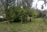Sanierungsbedürftiges Bauernhaus mit großem Garten und viel Potenzial in Hackerberg
