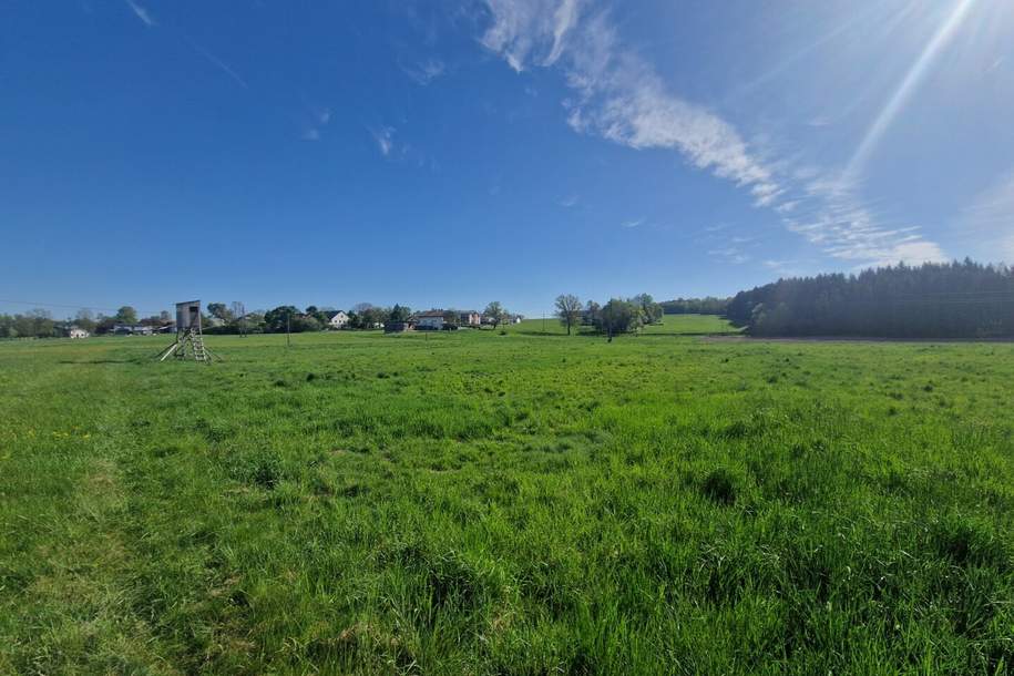 Landwirtschaftlicher Nutzgrund, Grund und Boden-kauf, 30.600,€, 4971 Ried im Innkreis