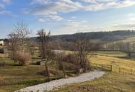 EINFAMILIENHAUS mit atemberaubendem AUSBLICK - Terrasse, Balkon und entzückender Garten mit Obstbäumen