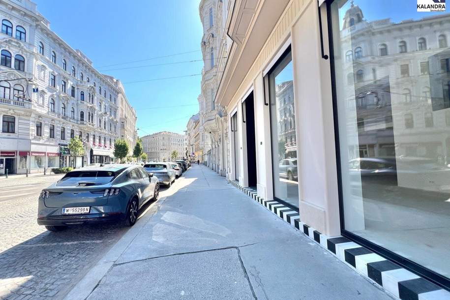 GESCHÄFTSLOKAL nahe SERVITENVIERTEL, Gewerbeobjekt-miete, 1.630,97,€, 1090 Wien 9., Alsergrund