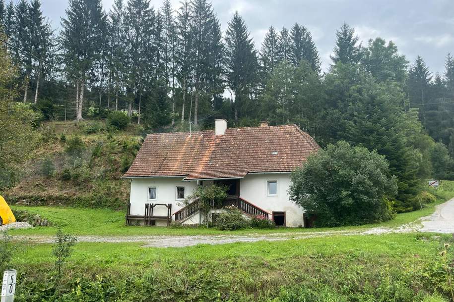 Uriges Bauernhaus in idyllischer Lage mit Wald und Wiesenflächen, Gewerbeobjekt-kauf, 129.000,€, 8162 Weiz