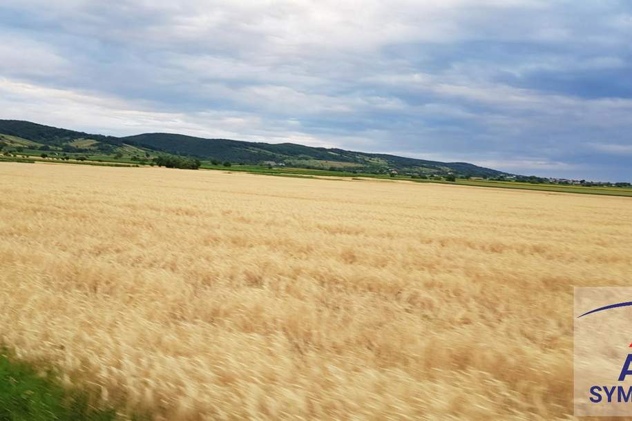 Ca. 7 ha BIO Grünland im Bezirk Zwettl, Gewerbeobjekt-kauf, 3921 Zwettl