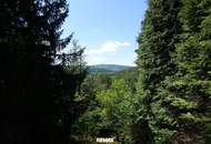 Charmantes Ferienhaus in ruhiger Waldrandlage – Ihr Rückzugsort inmitten der Natur