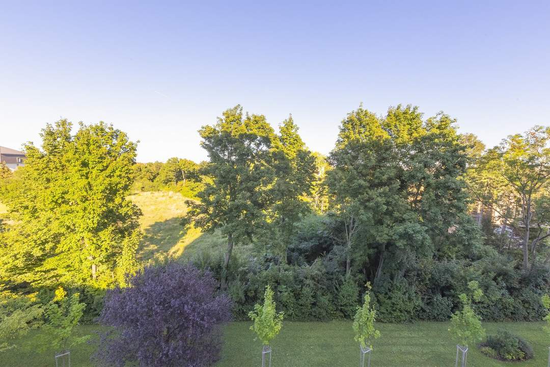 Emil Kraft-Gasse - sanierungsbedürftige 3 Zimmer Wohnung mit Loggia und Garage