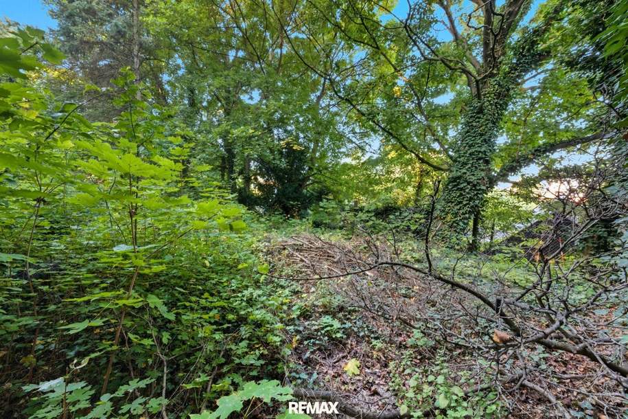 Anleger- Baugrundstück in Bisamberg: Bauland Wohngebiet Widmung, Grund und Boden-kauf, 398.000,€, 2102 Korneuburg