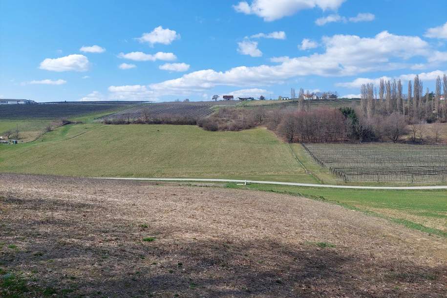 Ein Grundstück mit viel Potential!, Grund und Boden-kauf, 115.000,€, 7543 Güssing