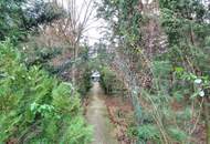 Einfamilienhaus im Dornröschenschlaf