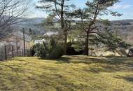 „Wienerwald-Baugrund mit Weitblick – 993 m² sonnige Hanglage in Breitenfurt“