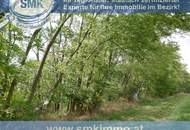 Weinkeller mit riesen Waldgrundstück Nähe A5!