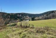 Alpines Ferienhaus nahe der Skipiste | Zirbenschlafzimmer, Kachelofen &amp; Naturidylle | umgeben von Wiesen und Wäldern