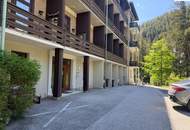 2 Zimmer Eigentumswohnung in historischer Villa "Waldhof" am Semmering mit Grünblick