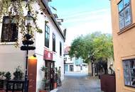 Topsaniert - Geschäftslokal/Praxis/Büro/Atelier mit Freifläche