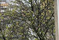 ERSTBEZUG 2 Zimmerwohnung