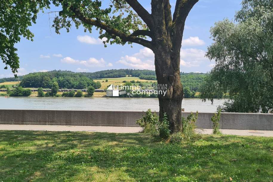 Wunderschönes Grundstück direkt an der Donau, Grund und Boden-kauf, 96.000,€, 3680 Melk