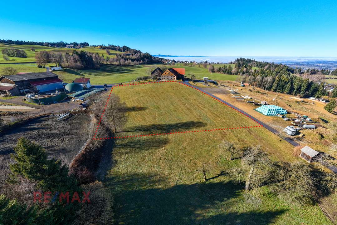 Goldene Felder für Ihre Ernte – Ihre Chance, den Boden zum Leben zu erwecken!