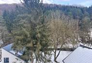 " Dachgeschoßwohnung in historischer Villa in Pressbaum "