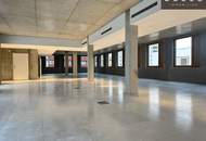 | INDUSTRIE STYLE | FABRIK 1230 | Büro-/Ordinations-/Geschäftsflächen