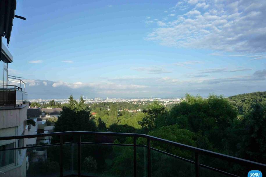Terrassenwohnung mit Traumaussicht, Wohnung-miete, 3.451,00,€, 1180 Wien 18., Währing
