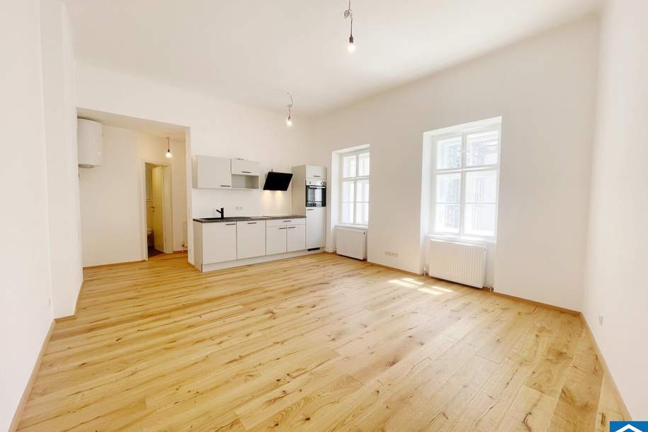 Schöne Single-Altbauwohnung in zentraler Lage, Wohnung-miete, 895,09,€, 1090 Wien 9., Alsergrund