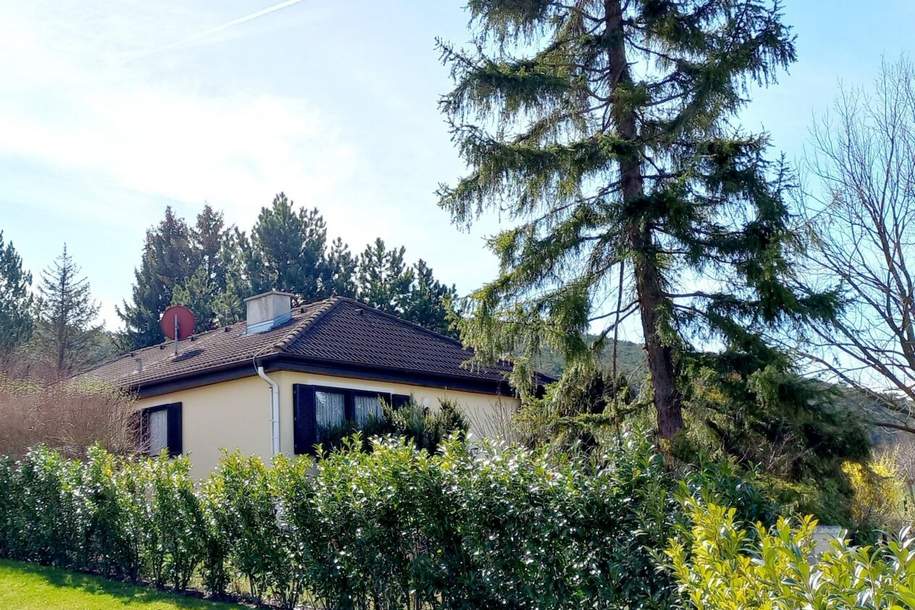 **NEUER PREIS** - Schönes Sommerhaus inkl. zweiter Bauparzelle direkt angrenzend, Haus-kauf, 795.000,€, 2560 Baden