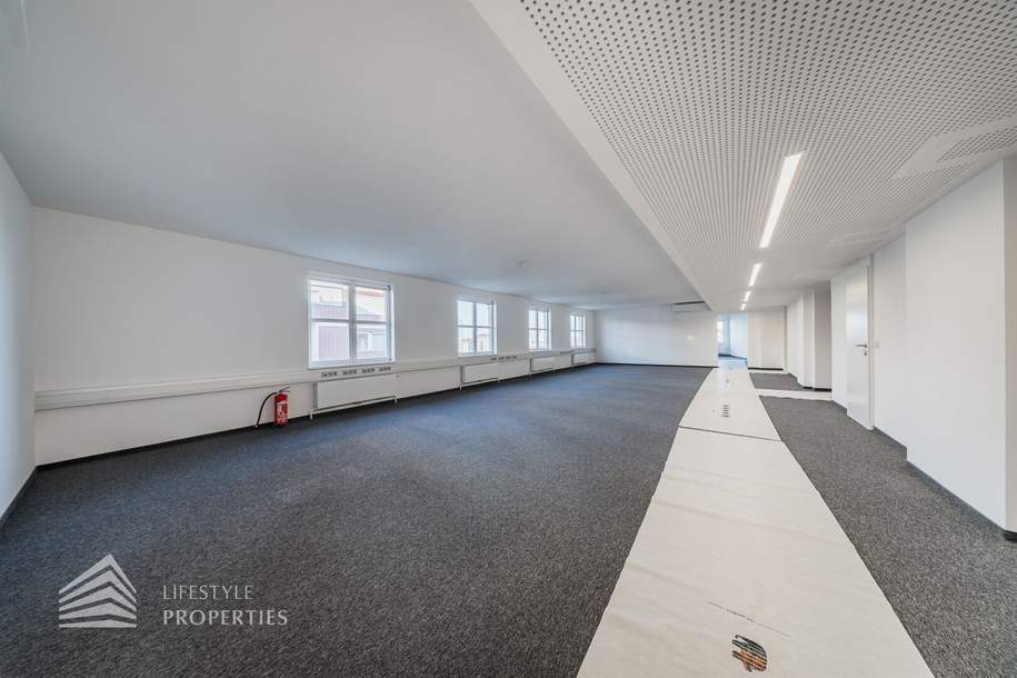 Erstbezug! Elegantes 5-Zimmer Büro in Toplage, Gewerbeobjekt-miete, 6.386,81,€, 1010 Wien 1., Innere Stadt