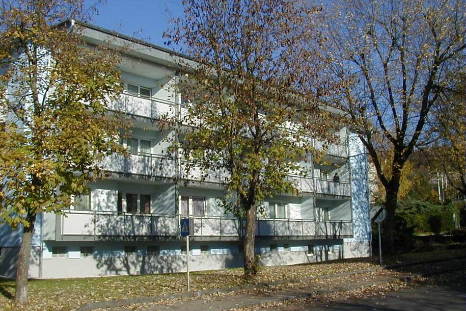 Charmante Garconniere in Haidershofen, Wohnung-miete, 358,53,€, 4431 Amstetten