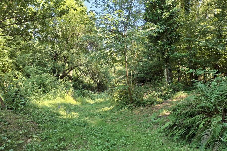 Grundstück für Freigeister in idyllischer Waldlage, Grund und Boden-kauf, 99.000,€, 8051 Graz-Umgebung