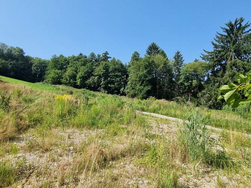 BAUGRUNDSTÜCKE - NEUPARZELLIERUNG IN SCHÖNER RUHELAGE