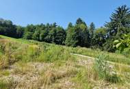 BAUGRUNDSTÜCKE - NEUPARZELLIERUNG IN SCHÖNER RUHELAGE