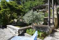 Extravagantes Wohnen in herrlicher Lage am linken Donauufer