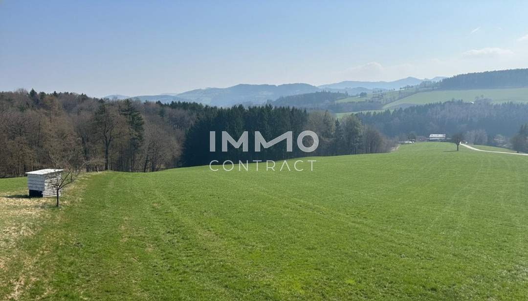 Natur pur mit Weitblick