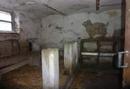 Ein Stück Niederösterreich - traditioneller Streckhof zum Verlieben!