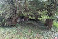 Preisreduktion - Traumhaftes Baugrundstück in idyllischer Lage von Kirchbach, Niederösterreich - Perfekt für Ihr Eigenheim!